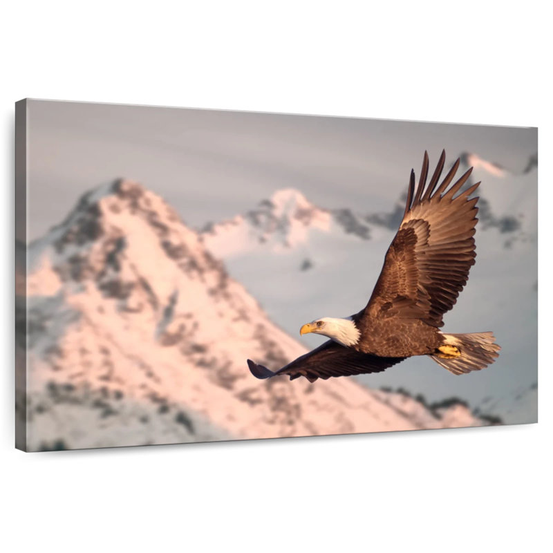 Brampt Majestic Bald Eagle, 26" H x 39" W