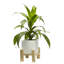Ceramic Indoor Planter with Wood Stand