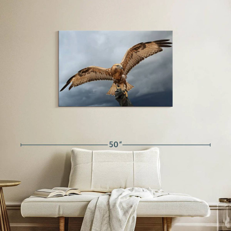 Brampt Falcon On Gauntlet, 24" H x 36" W