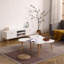  1 table basse-768786587