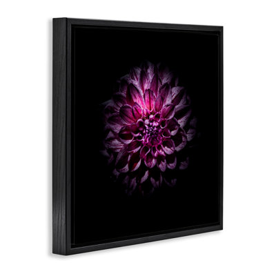 Cadre flottant contemporain foncé Dahlia, design par Brian Carson