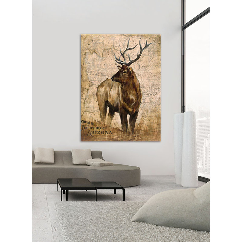 Reproduction d’art sur toile, "native Spirit 2" par Elizabeth Hope