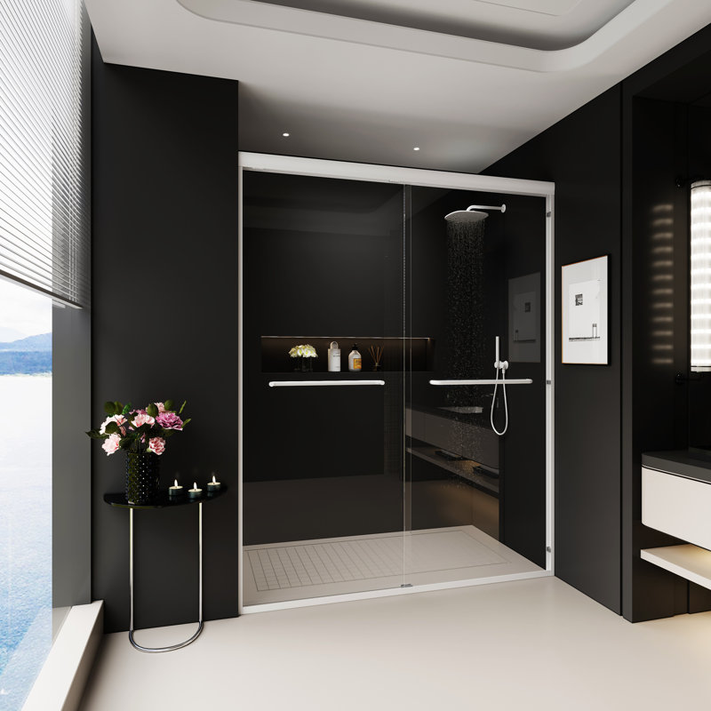Double porte de douche coulissante, Argent argent