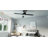 48" Avdie 4 - Blade Ceiling Fan with Light Kit and Remote Control Included-1379012904