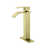 Brushed Gold selected