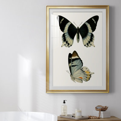 «Antique Blue Butterflies I», reproduction encadrée de qualité supérieure - prête à être accrochée
