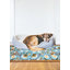 Tapis de cuisine Hepatique-1449603796-1449603631