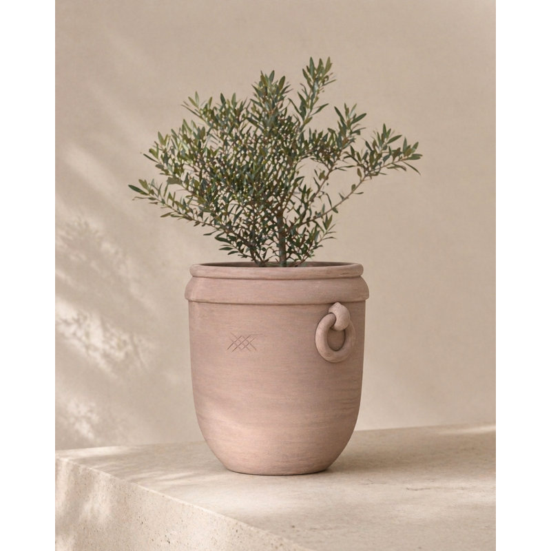 Clay Planter