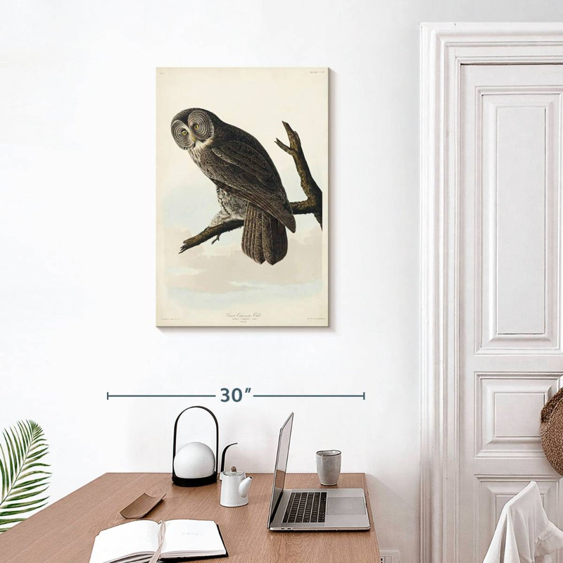 Brampt Great Cinereous Owl, 30" H x 20" W