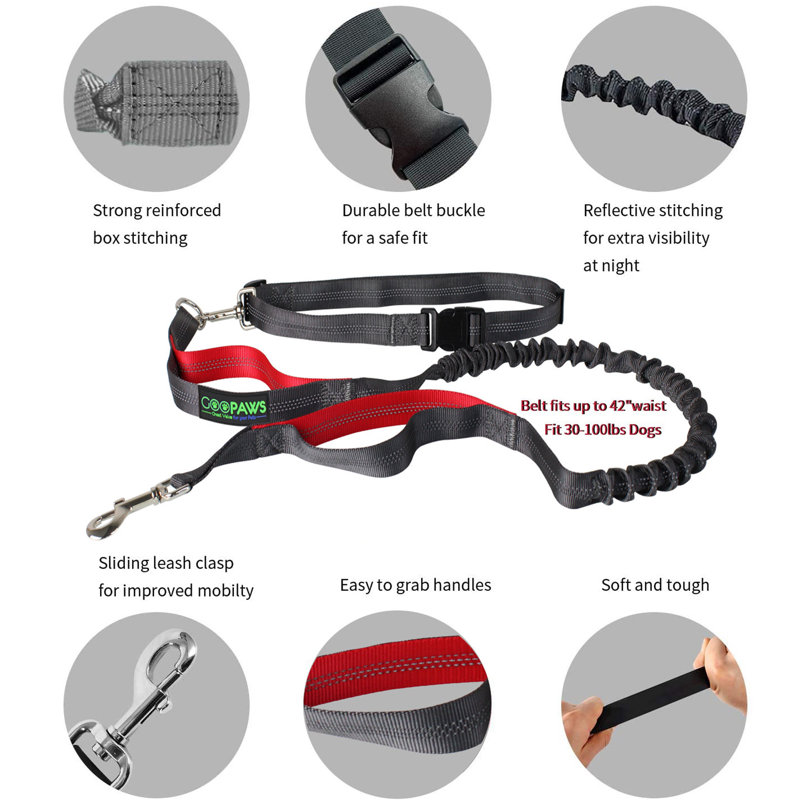 Laisse en bungee mains libres, Rouge