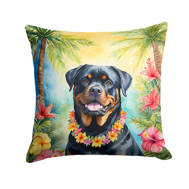 Coussin décoratif intérieur / extérieur Autre / Sans motif, H 14 po x l 14 po