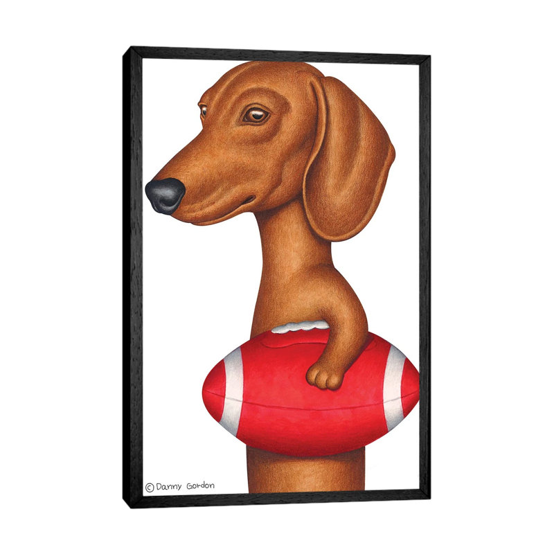 Dachshund Holding Football by Danny Gordon - Print on Canvas, 66.04 cm H x 45.72 cm W, Black Framed