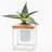 5'' H Wall Votive Holder-2048264761