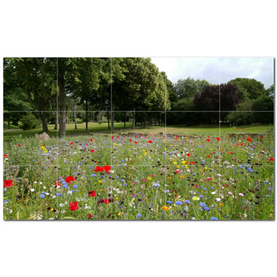 Photo de printemps 8 x 8