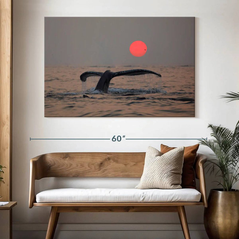 Queue de baleine à bosse Brampt, H 34 po x l 51 po