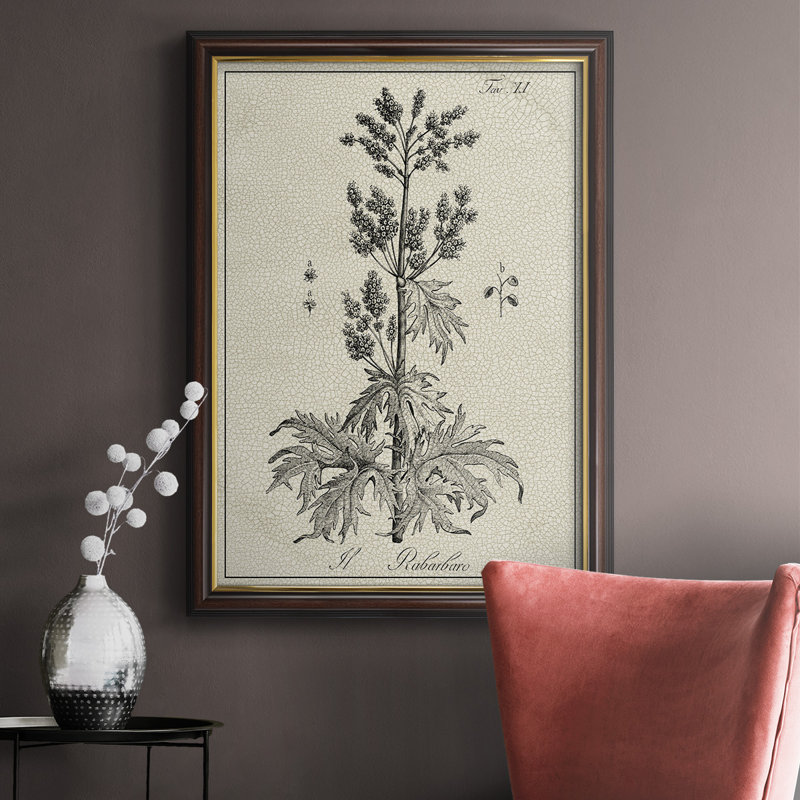 Antique Black & White Botanical III - reproduction d'art sur toile encadrée, H 36 po x l 24 po x P 2,5 po