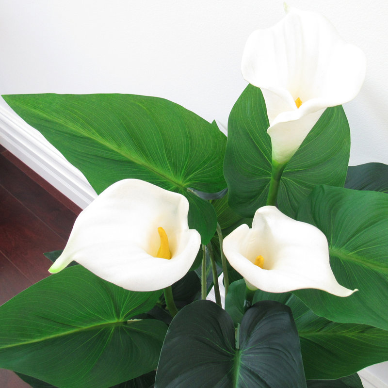 31'' Artificial Calla Lily Plant in Pot