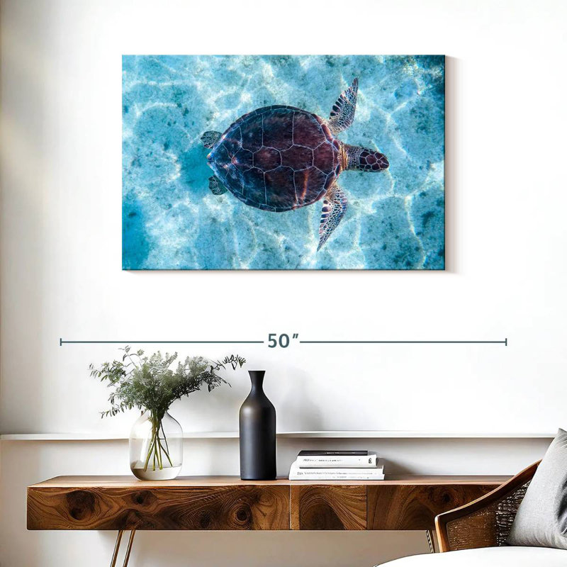 Brampt Turtle Swimming, 24" H x 36" W