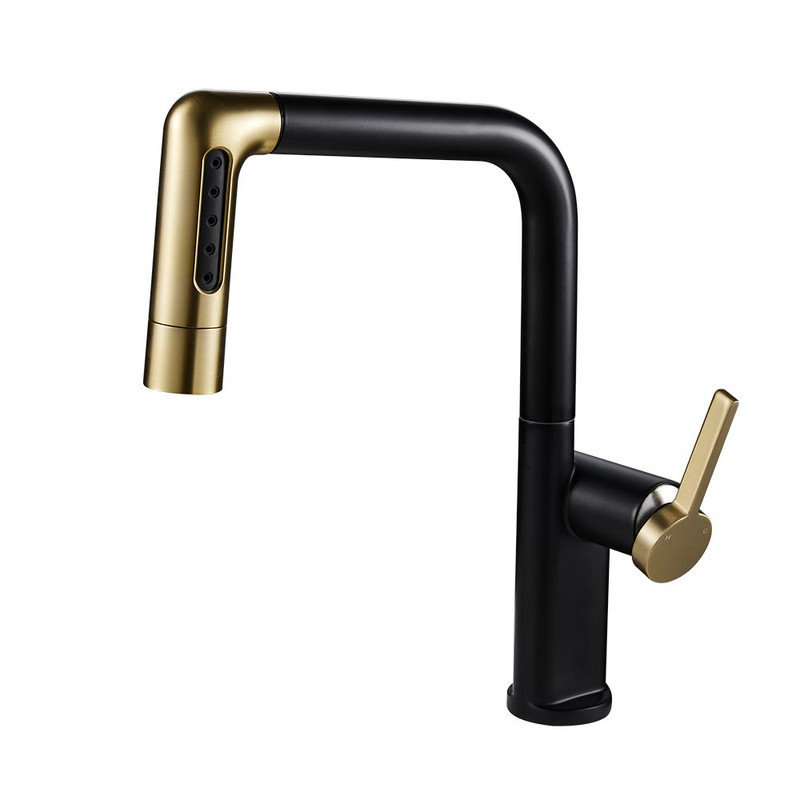 17 Stories Pull Out Kitchen Faucet, Gold/Matte Black
