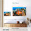 Brampt poisson nageant-108930768