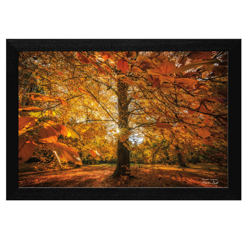 'Autumn Leaves' Framed Photographic Print