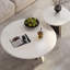Pomme blanche-411410362