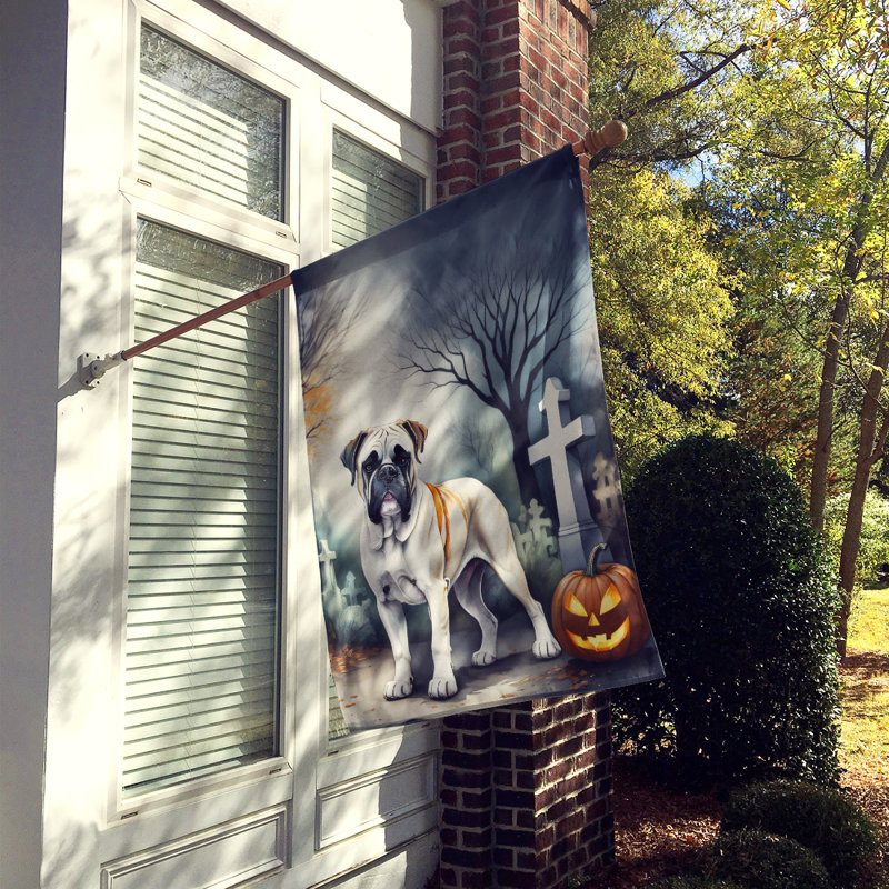 Drapeau de maison d'Halloween en polyester à double face H 40 po x l 28 po
