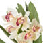 Orchid Arrangement in Vase