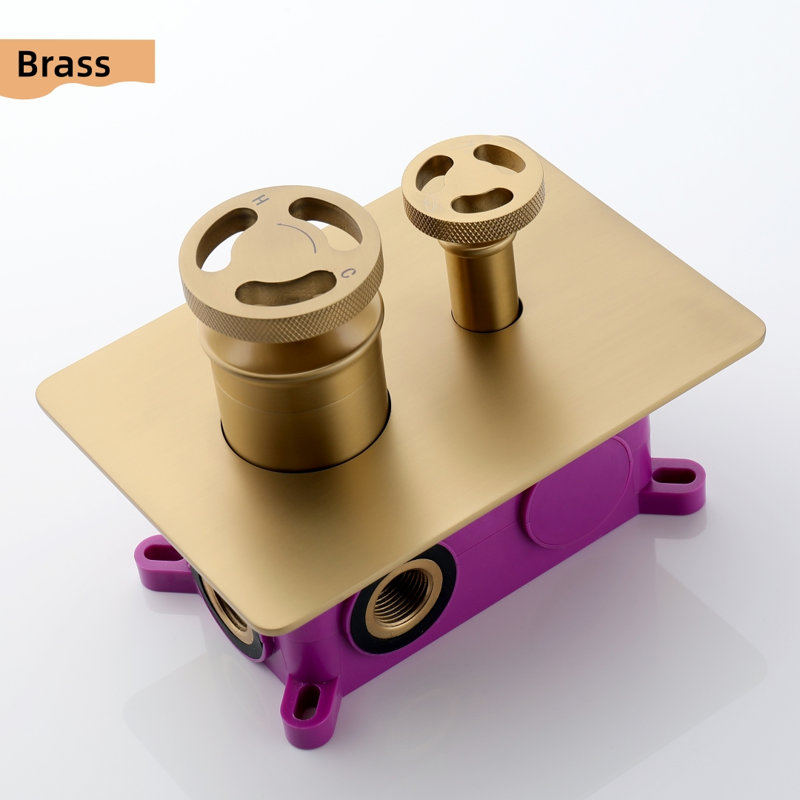 Roind All-In-One Kit with Rough in-Valve, Brushed Gold