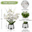 Arrangement in Vase-1208224273