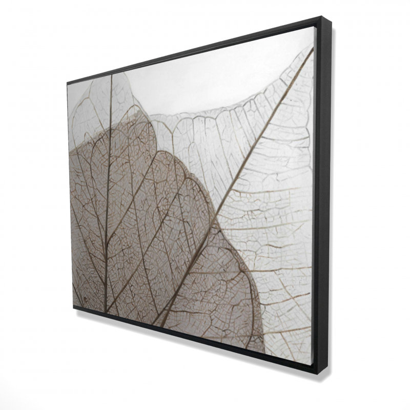 " Translucent Dried Leaves "