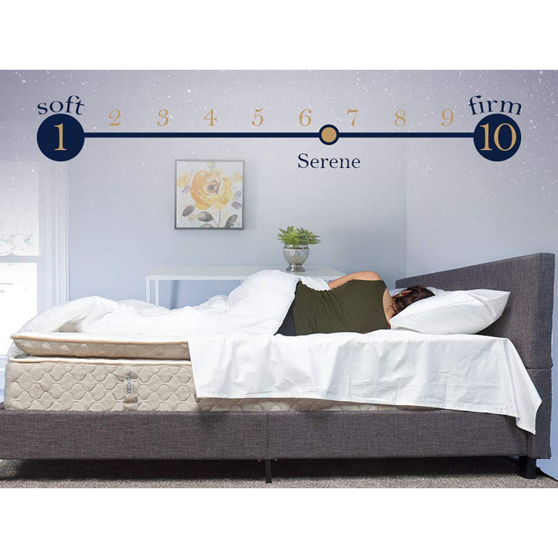 Matelas hybride à plateau-coussin moyen 14 po Robyn, Double