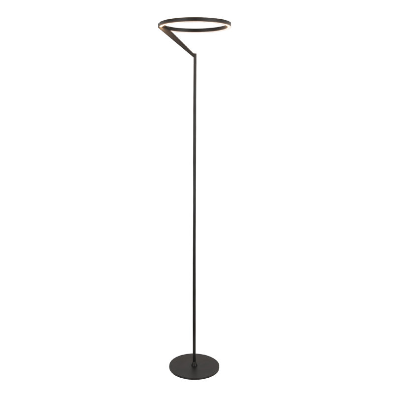 Black Adjustable Scandinavian Minimalist LED Floor Lamp