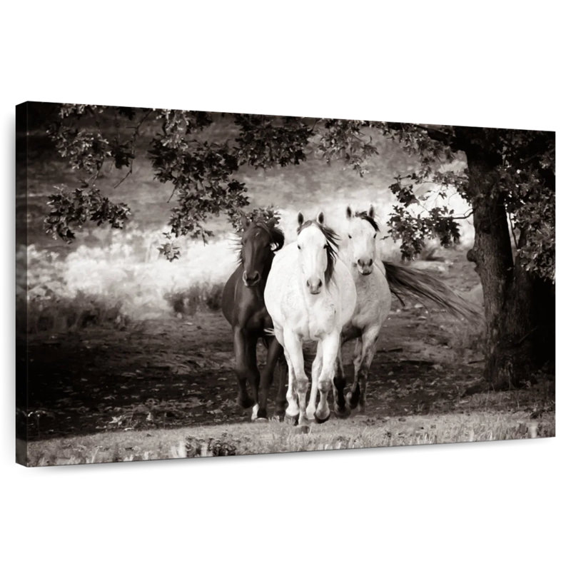 Crowle, trois chevaux sauvages sépia, H 20 po x l 30 po