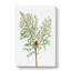 Chinese Weeping Cypress by Pierre-Joseph Redoute - Wrapped Canvas-55371307