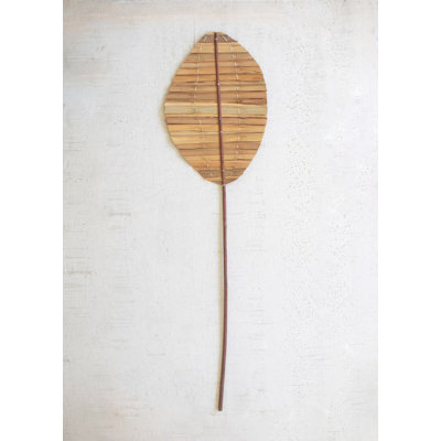  Tige de feuille de hogla naturelle - décor botanique séché en forme de goutte de 52 po, ensemble de 12