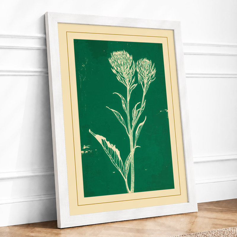 Cream Carnation Study Botanical - Print, A1 - 84.1 x 59.4 cm, White