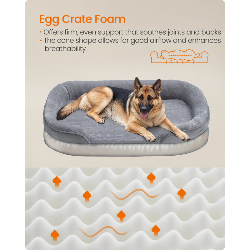 Pet Bed