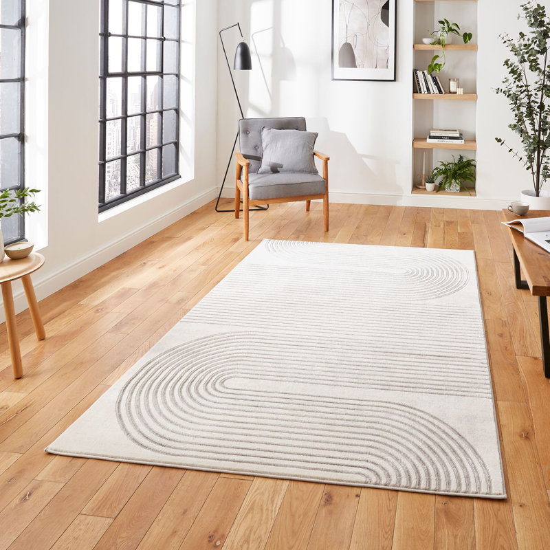 Apollo area rug Machine Woven Rectangle Grey, Rectangle 160 x 220cm