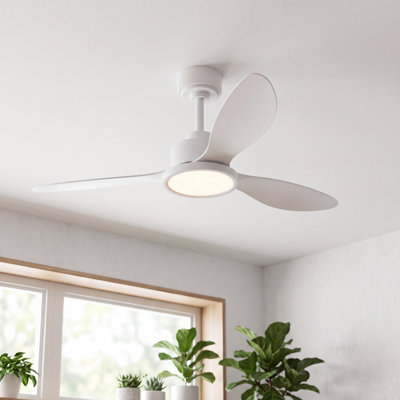 3 - Blade Dimmable Ceiling Fan With Led Light & Remote Control
