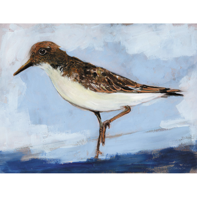 Sandpiper 2 sur toile, H 20 po x l 30 po