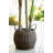 62'' Faux Palm Tree in Basket