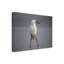 Art sur toile «bol Hao»-109226076