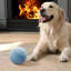2Pcs Rechargeable Interactive Cat Toy Balls