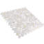 Oyster 1" Fish Scale Polished Pearl Mosaic Tile