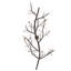 Lustre en herbe 60 po