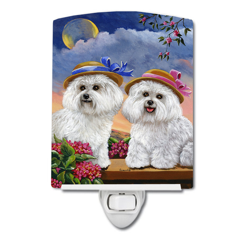 Veilleuse Westie, Bichon frisé âmes sœurs