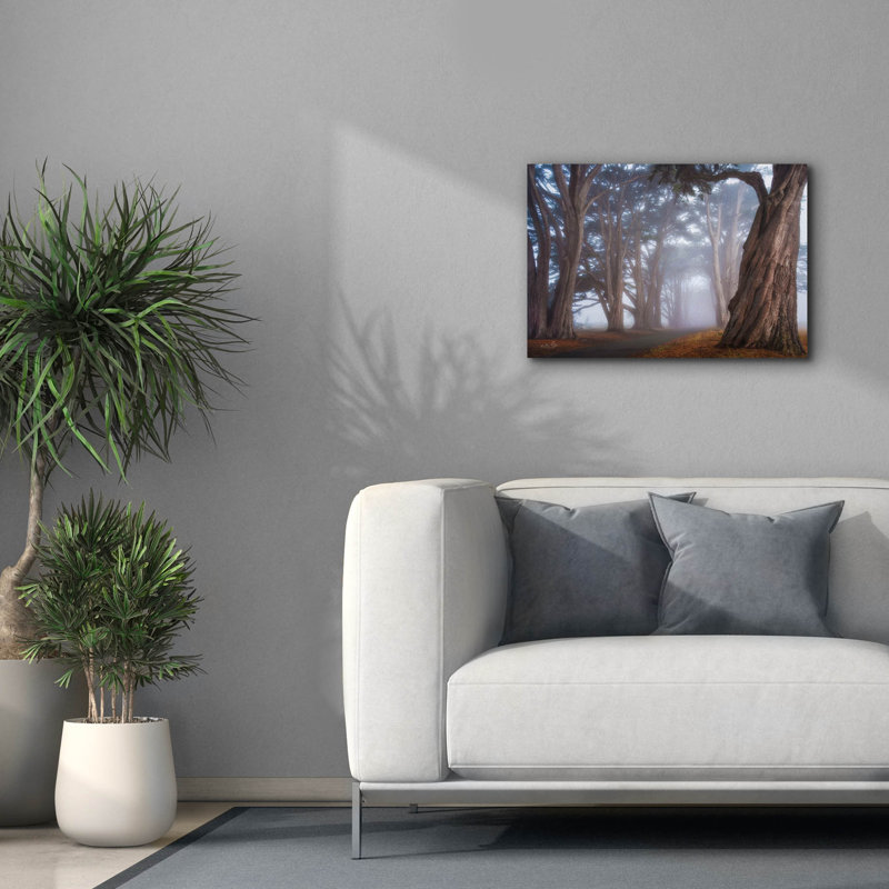 Toile épique Graffiti «Cypress Tree Tunnel» par Martin Podt, 26 po x 18 po, H 18 po x l 26 po
