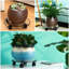 Support pour plante Meendert