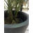 Pot Planter-67088205-67088206